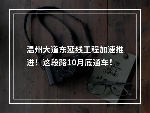 温州大道东延线工程加速推进！这段路10月底通车！