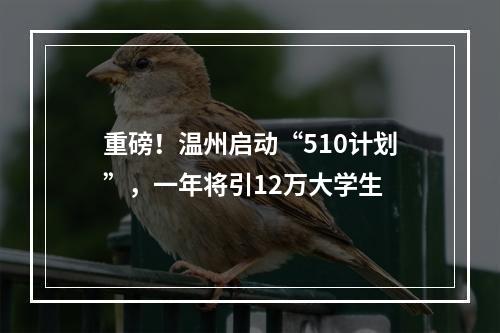 重磅！温州启动“510计划”，一年将引12万大学生