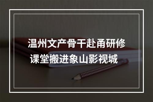 温州文产骨干赴甬研修 课堂搬进象山影视城