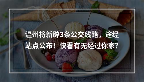 温州将新辟3条公交线路，途经站点公布！快看有无经过你家？