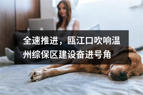 全速推进，瓯江口吹响温州综保区建设奋进号角