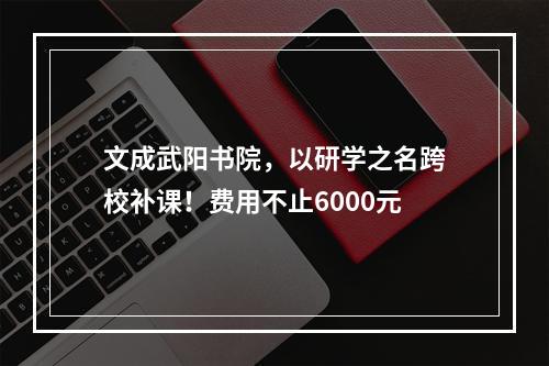 文成武阳书院，以研学之名跨校补课！费用不止6000元