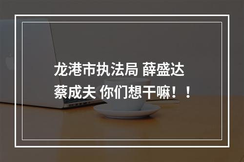 龙港市执法局 薛盛达 蔡成夫 你们想干嘛！！