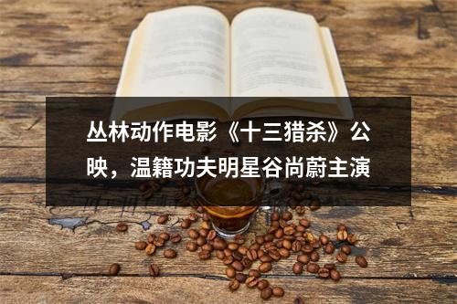 丛林动作电影《十三猎杀》公映，温籍功夫明星谷尚蔚主演