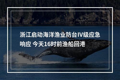 浙江启动海洋渔业防台Ⅳ级应急响应 今天16时前渔船回港