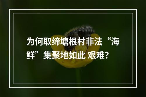 为何取缔塘根村非法“海鲜”集聚地如此 艰难？