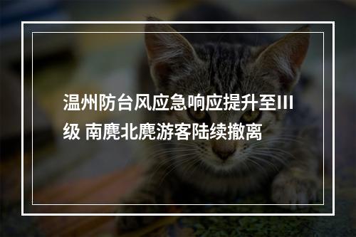 温州防台风应急响应提升至Ⅲ级 南麂北麂游客陆续撤离