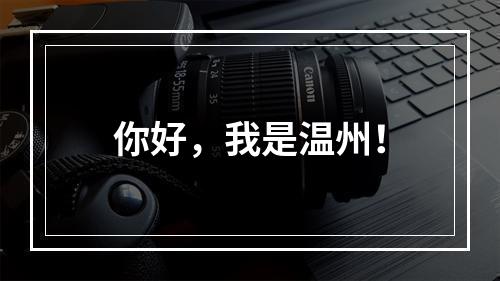 你好，我是温州！