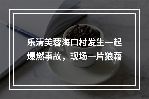 乐清芙蓉海口村发生一起爆燃事故，现场一片狼藉