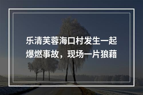 乐清芙蓉海口村发生一起爆燃事故，现场一片狼藉