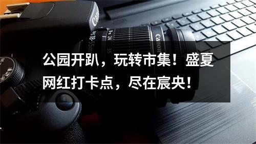 公园开趴，玩转市集！盛夏网红打卡点，尽在宸央！