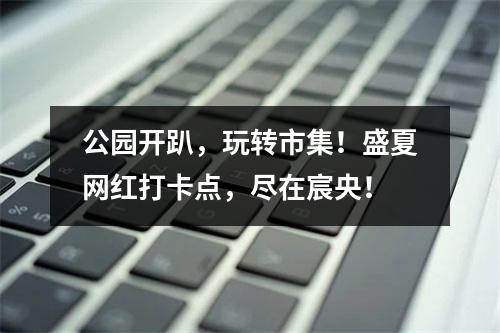 公园开趴，玩转市集！盛夏网红打卡点，尽在宸央！