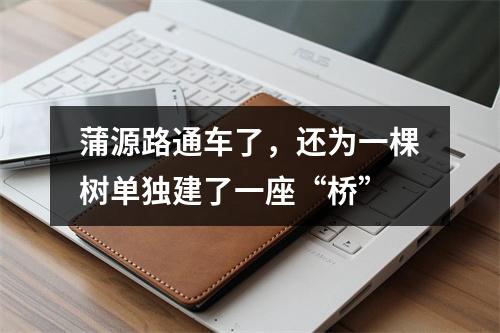 蒲源路通车了，还为一棵树单独建了一座“桥”