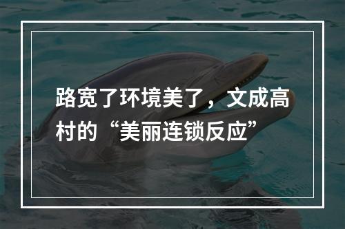 路宽了环境美了，文成高村的“美丽连锁反应”