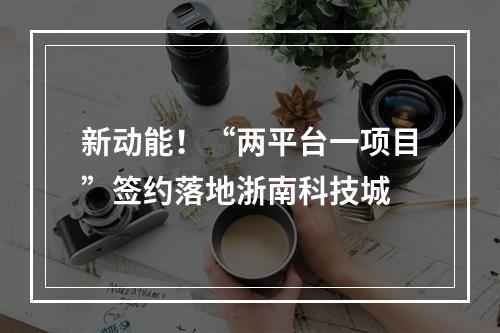 新动能！“两平台一项目”签约落地浙南科技城