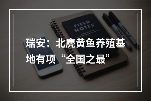 瑞安：北麂黄鱼养殖基地有项“全国之最”