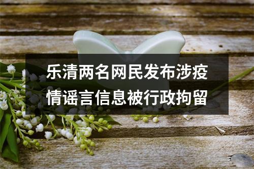 乐清两名网民发布涉疫情谣言信息被行政拘留