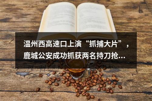 温州西高速口上演“抓捕大片”，鹿城公安成功抓获两名持刀抢劫逃犯