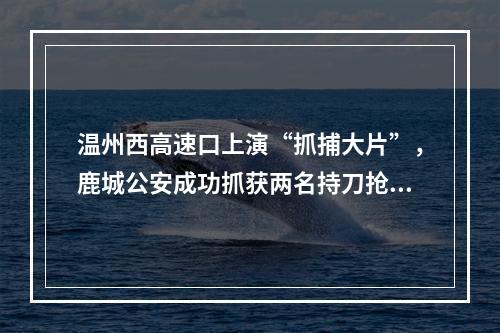 温州西高速口上演“抓捕大片”，鹿城公安成功抓获两名持刀抢劫逃犯