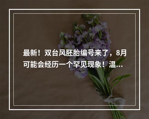最新！双台风胚胎编号来了，8月可能会经历一个罕见现象！温州接下来的天气
