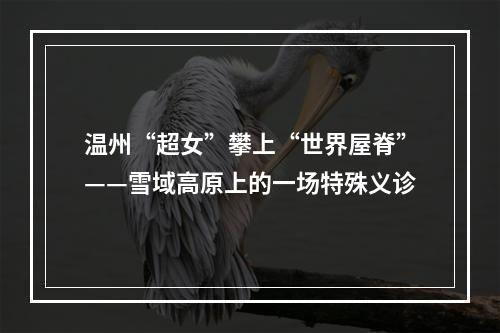 温州“超女”攀上“世界屋脊”——雪域高原上的一场特殊义诊