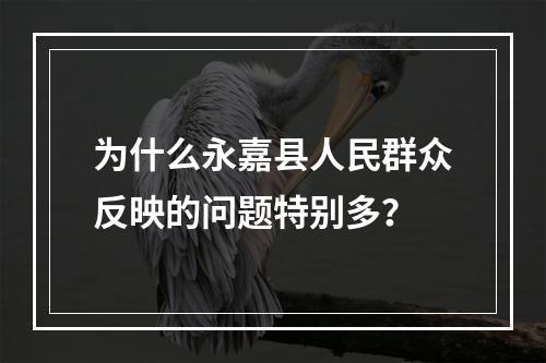 为什么永嘉县人民群众反映的问题特别多？