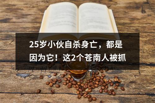 25岁小伙自杀身亡，都是因为它！这2个苍南人被抓