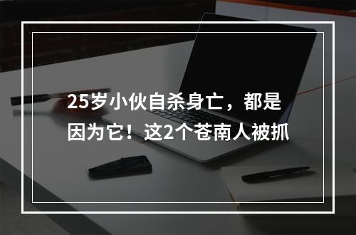 25岁小伙自杀身亡，都是因为它！这2个苍南人被抓