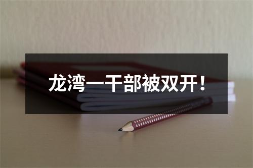 龙湾一干部被双开！