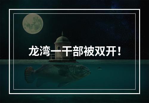 龙湾一干部被双开！