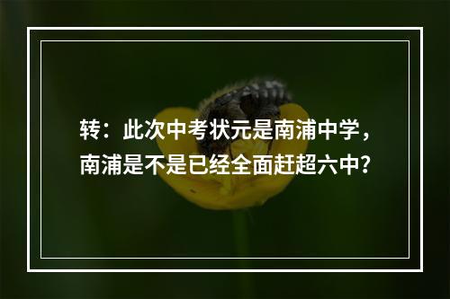 转：此次中考状元是南浦中学，南浦是不是已经全面赶超六中？