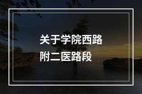 关于学院西路附二医路段