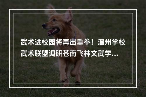 武术进校园将再出重拳！温州学校武术联盟调研苍南飞林文武学校
