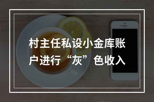 村主任私设小金库账户进行“灰”色收入