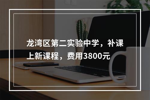 龙湾区第二实验中学，补课上新课程，费用3800元