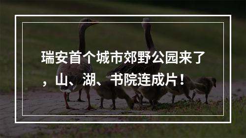 瑞安首个城市郊野公园来了，山、湖、书院连成片！