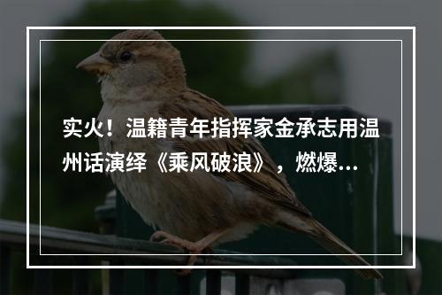 实火！温籍青年指挥家金承志用温州话演绎《乘风破浪》，燃爆了…