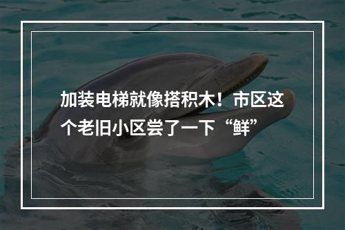 加装电梯就像搭积木！市区这个老旧小区尝了一下“鲜”