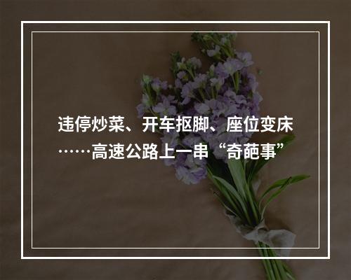 违停炒菜、开车抠脚、座位变床……高速公路上一串“奇葩事”
