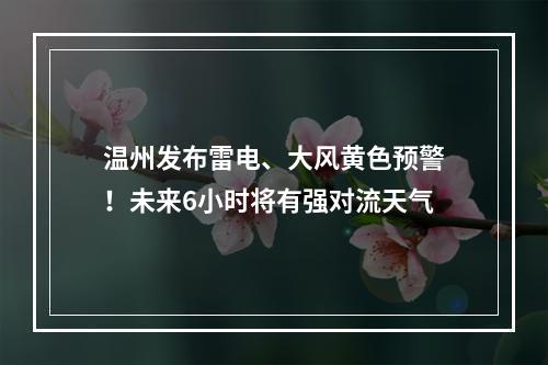 温州发布雷电、大风黄色预警！未来6小时将有强对流天气