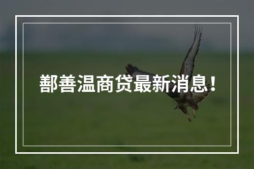 鄯善温商贷最新消息！