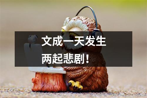 文成一天发生两起悲剧！