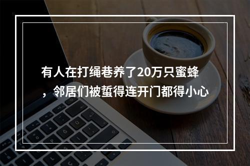 有人在打绳巷养了20万只蜜蜂，邻居们被蜇得连开门都得小心