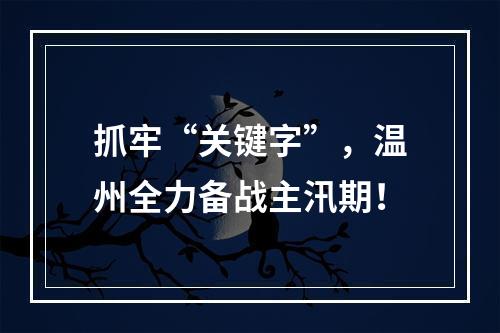 抓牢“关键字”，温州全力备战主汛期！