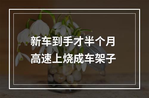 新车到手才半个月 高速上烧成车架子