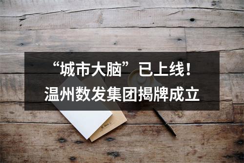 “城市大脑”已上线！温州数发集团揭牌成立