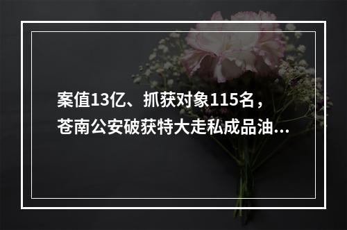 案值13亿、抓获对象115名，苍南公安破获特大走私成品油案件