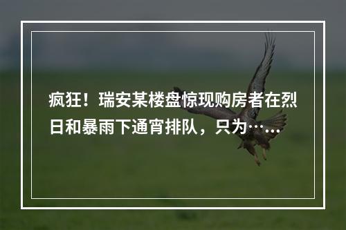疯狂！瑞安某楼盘惊现购房者在烈日和暴雨下通宵排队，只为……