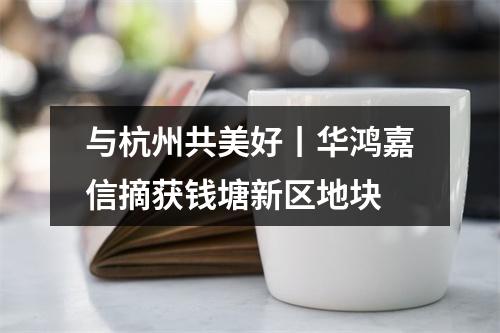 与杭州共美好丨华鸿嘉信摘获钱塘新区地块