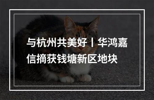 与杭州共美好丨华鸿嘉信摘获钱塘新区地块